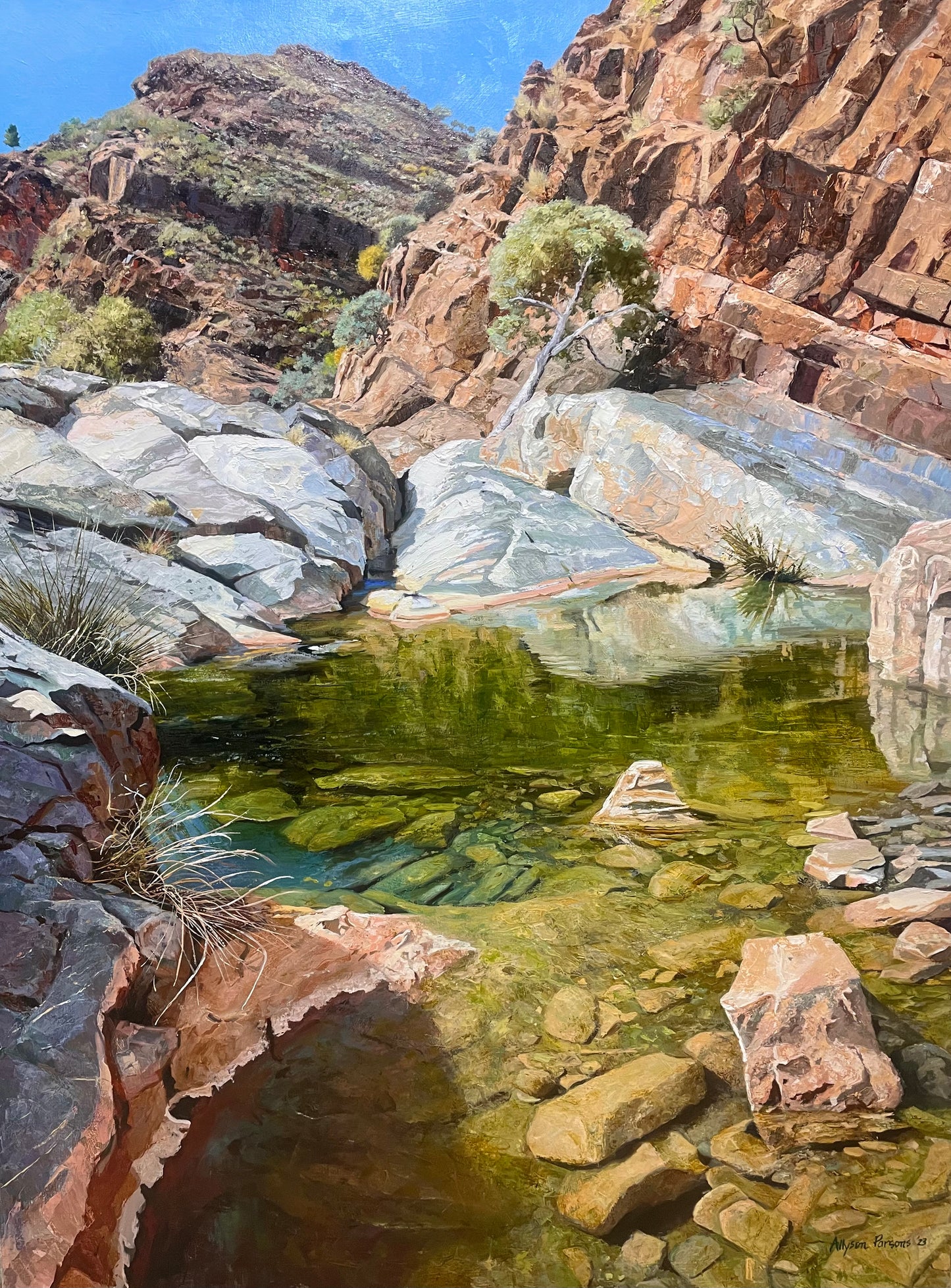 Rock Pool, near Blinman SA