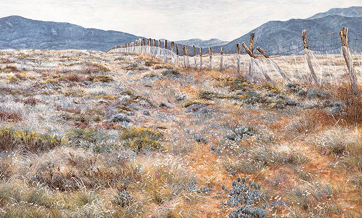 Along the Boundary Fence