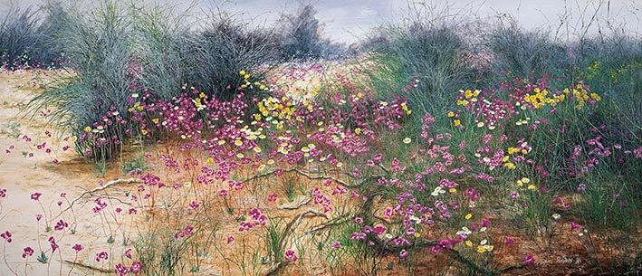Finke River Flowers