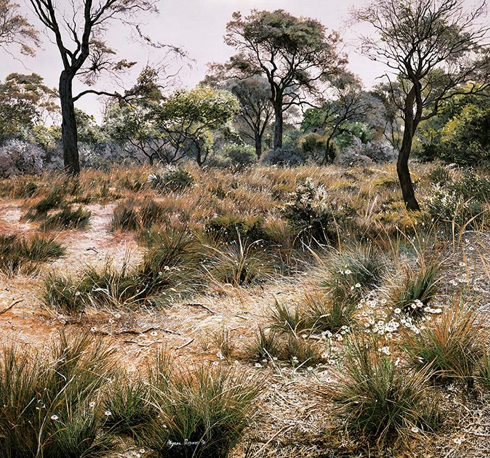 Yorke Peninsula Scrub