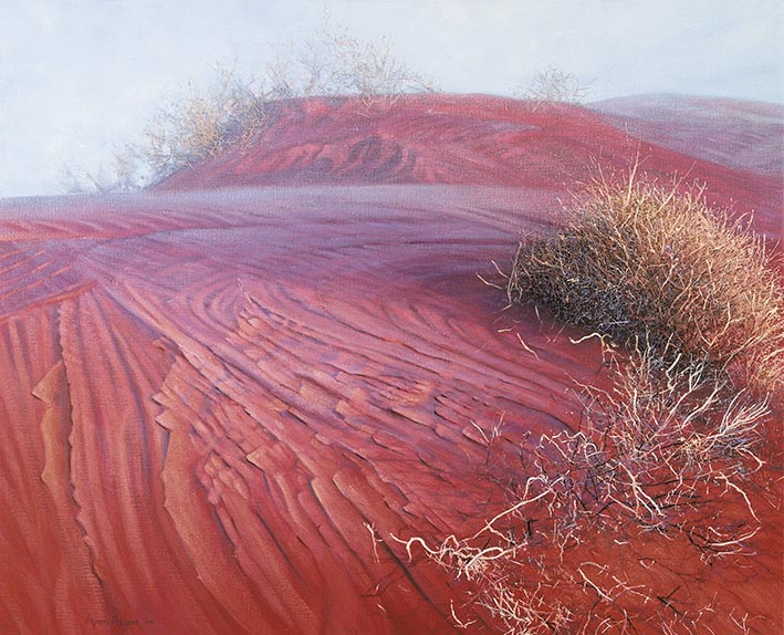 Fog in the Simpson Desert