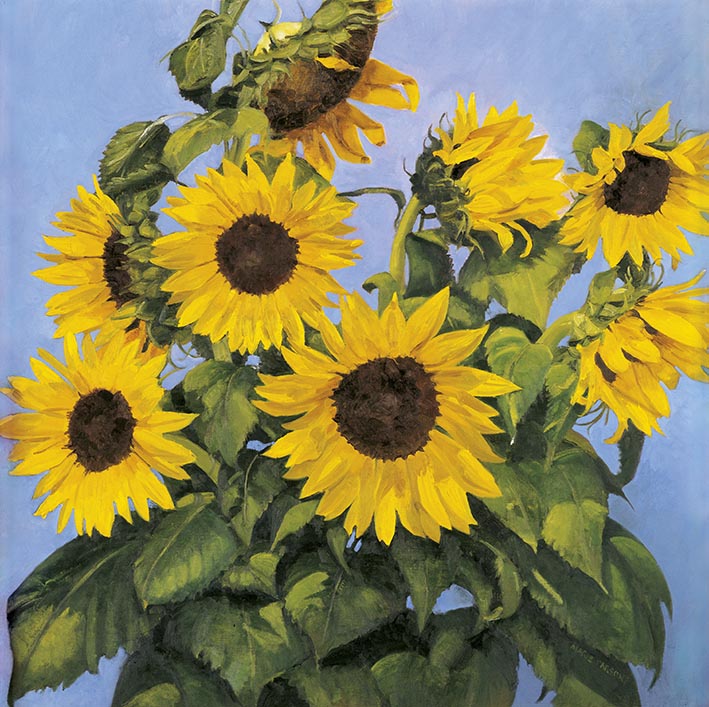 Sunflowers