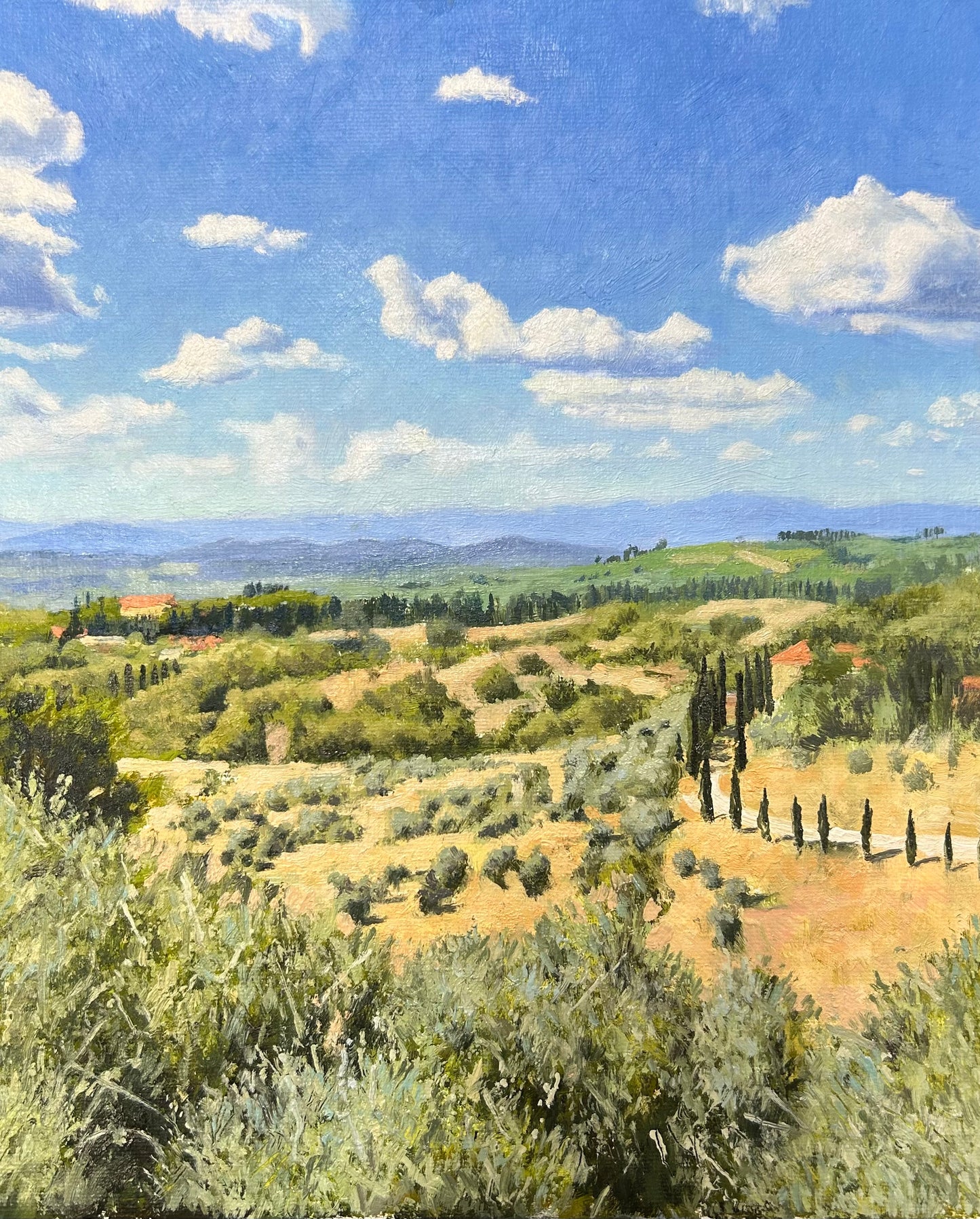 Olive Grove